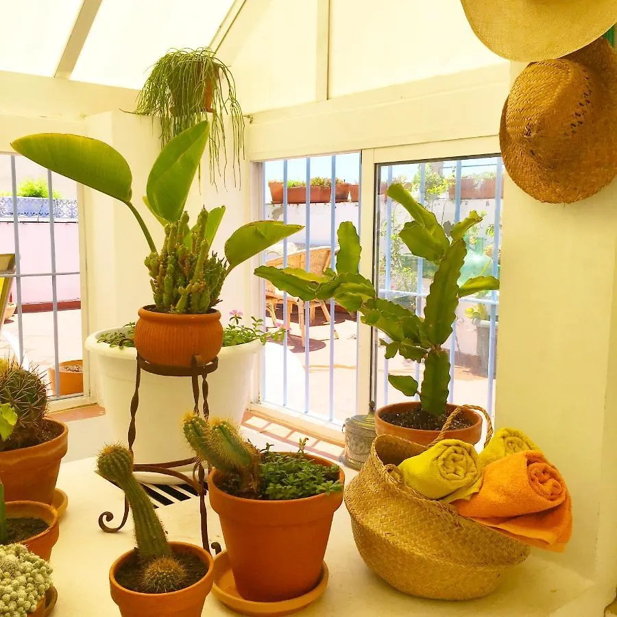 Eva Recommends Alberto Lista Atico Apartment Seville Spain