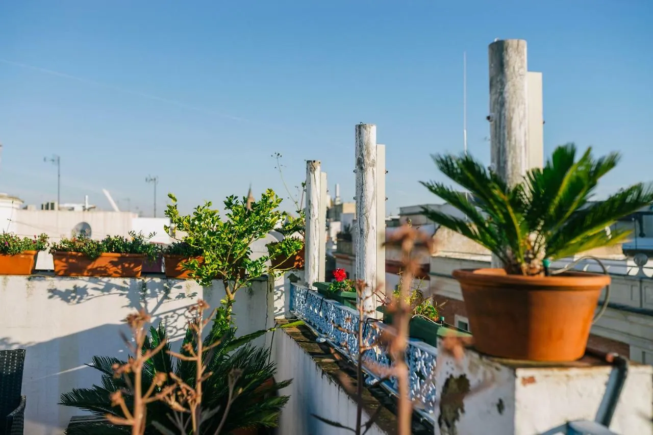 Eva Recommends Alberto Lista Atico Apartment Seville 0*,  Spain
