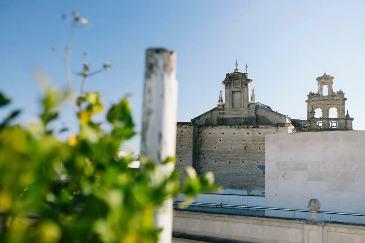 Eva Recommends Alberto Lista Atico Apartment Seville
