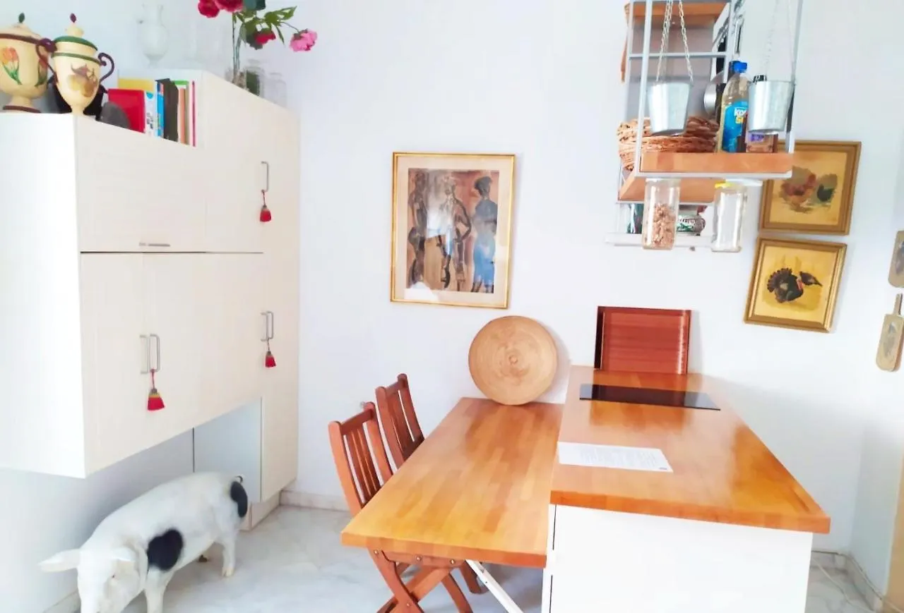 Eva Recommends Alberto Lista Atico Apartment Seville
